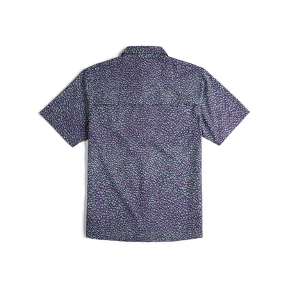 alt1
