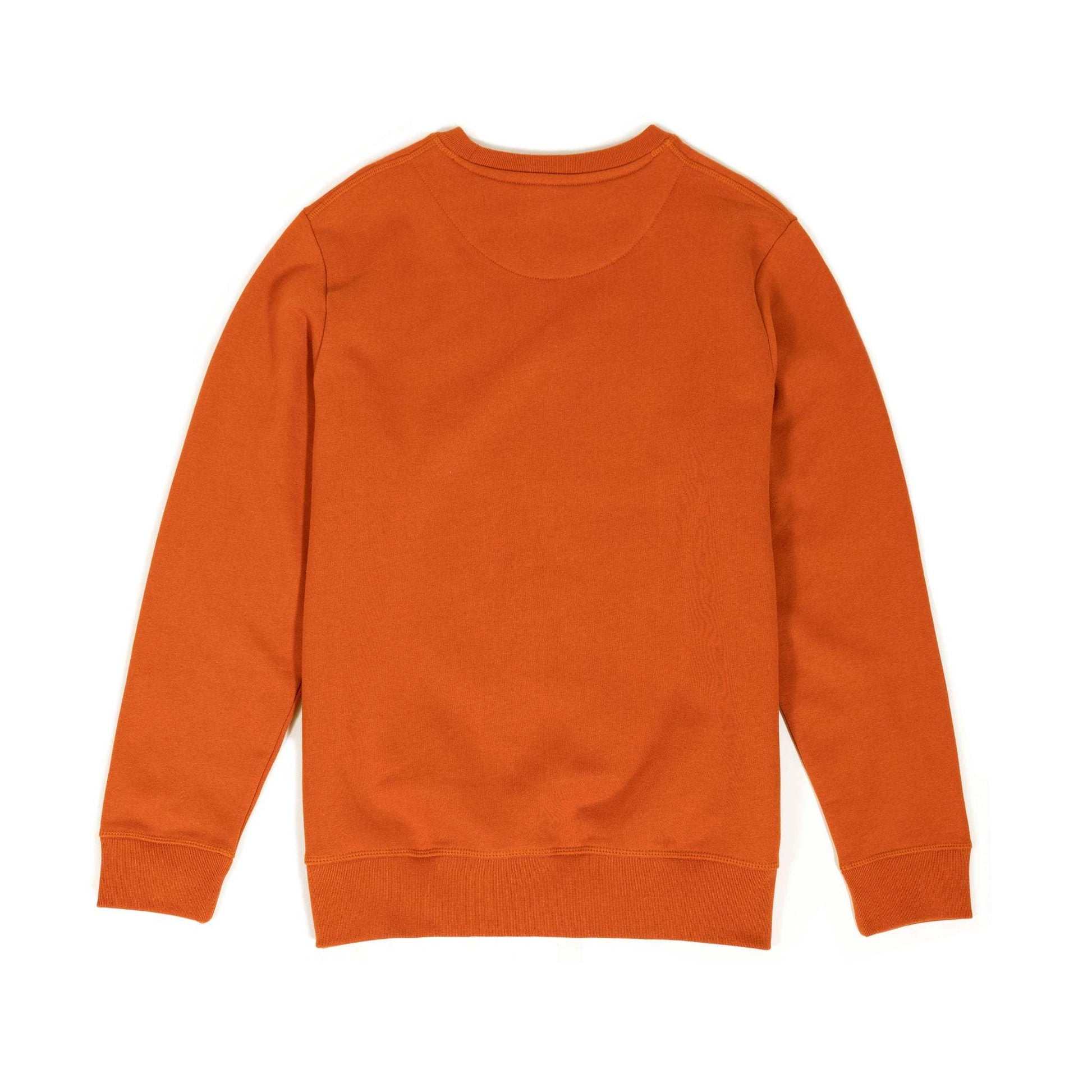 alt1