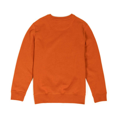alt1